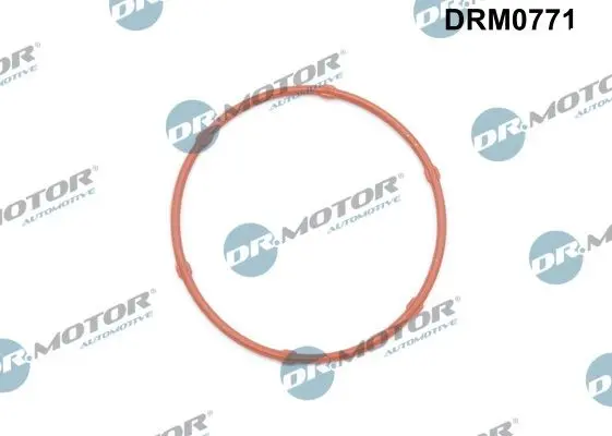 Etansare, pompa ulei Dr.Motor Automotive DRM0771