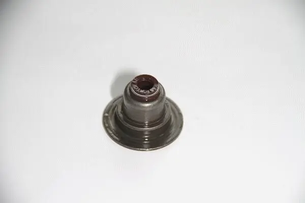 Etansare, supape CORTECO 19036941
