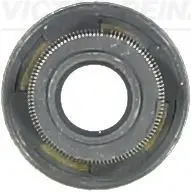 Etansare, supape VICTOR REINZ 70-54072-00