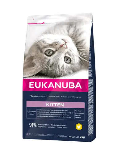 EUKANUBA Cat Kitten All Breeds Healthy Start Chicken & Liver Hrana uscata pentru pisici junior, cu pui si ficat 2 kg