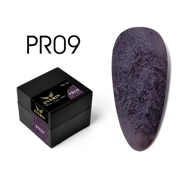 Everin Plaster Color Gel PR09 – Gel color texturat violet închis, efect beton artistic (5g)