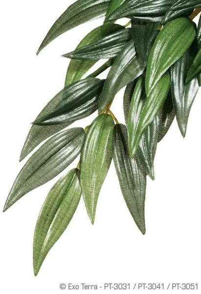 Exo Terra Planta Ruscus Medium 55 CM PT3041