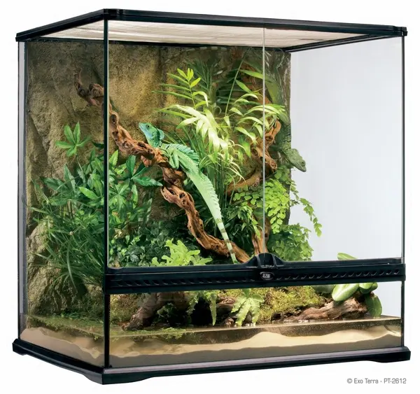 Exo Terra Terariu Sticla 60X45X60 cm PT2612