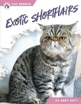 Exotic Shorthairs, Paperback/Abby Doty