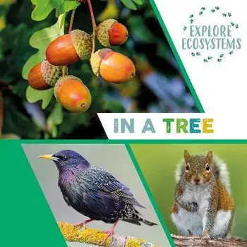 Explore Ecosystems: In a Tree. Illustrated ed, Hardback/Sarah Ridley