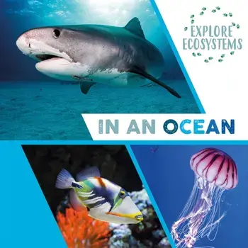 Explore Ecosystems: In an Ocean. Illustrated ed, Paperback/Sarah Ridley