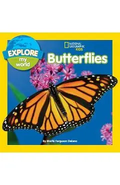 Explore My World Butterflies - Marfe Ferguson Delano