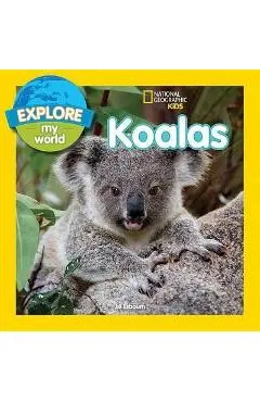 Explore My World Koalas - Jill Esbaum
