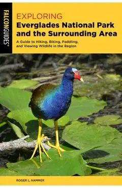 Exploring Everglades National Park and the Surrounding Area: A Guide to Hiking, Biking, Paddling, and Viewing Wildlife in the Region - Roger L. Hammer