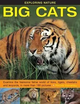 Exploring Nature: Big Cats, Hardcover/Rhonda Klevansky