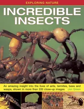 Exploring Nature: Incredible Insects, Hardback/Dr Jen Green