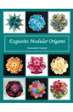 Exquisite Modular Origami - Meenakshi Mukerji
