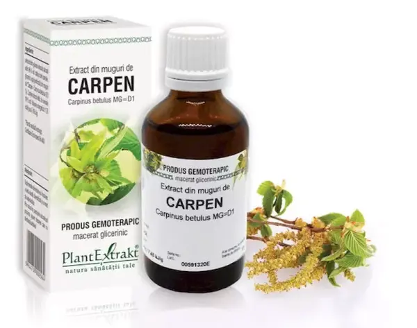 Extract de carpen hidro-glicero-alcoolic X 50ml fl. Plantextrakt