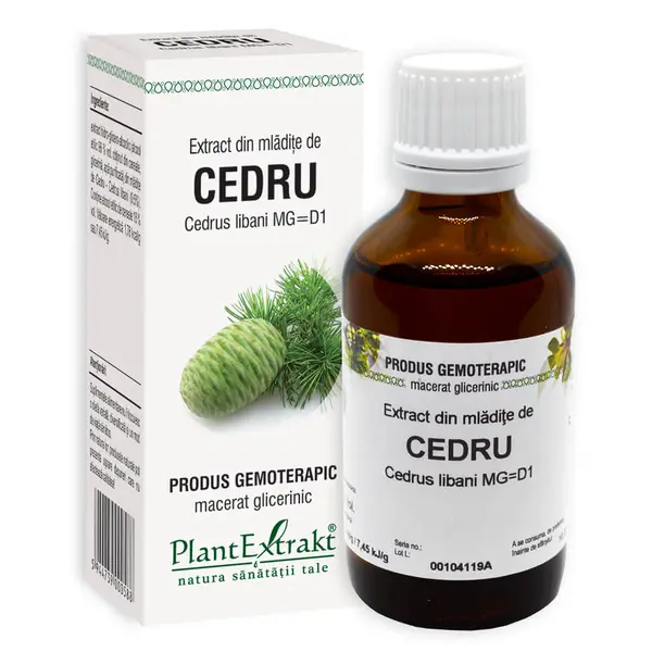Extract din mladite de Cedru, 50ml, PlantExtrakt