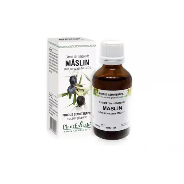 Extract din mladite de Maslin, 50ml, PlantExtrakt