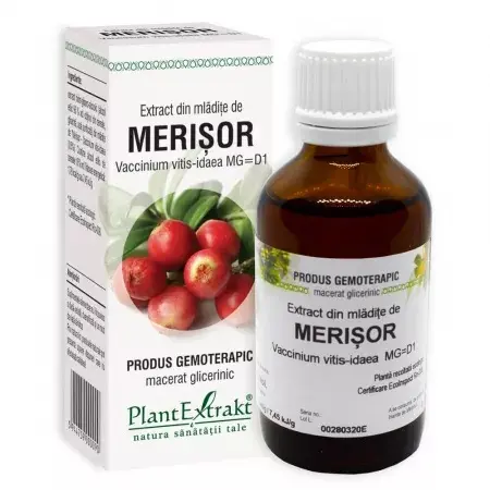 Extract din mladite de merisor, 50ml, PlantExtrakt