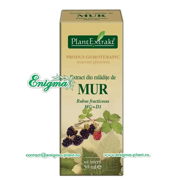 Extract din mladite de mur – 50ml