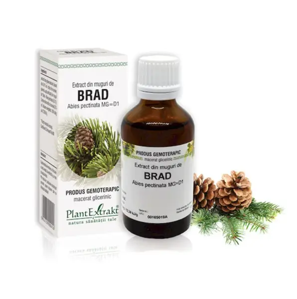 Extract din muguri de brad 50 ml