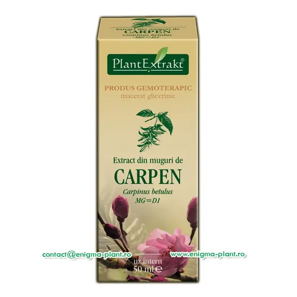 Extract din muguri de carpen – 50ml