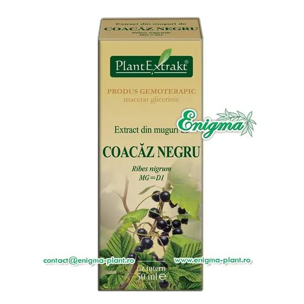 Extract din muguri de coacaz negru - 50ml