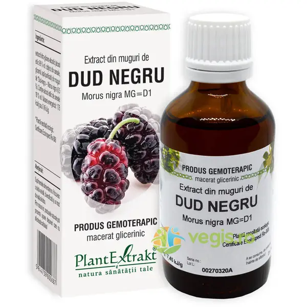 Extract din Muguri de Dud Negru 50ml