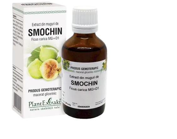 Extract din muguri de smochin, 50ml, PlantExtrakt