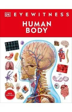 Eyewitness Human Body - Dk