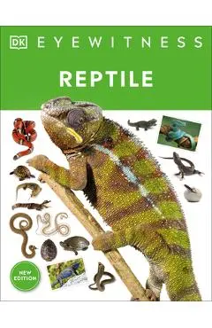 Eyewitness Reptile - Dk