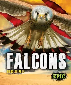 Falcons, Hardback/Nathan Sommer