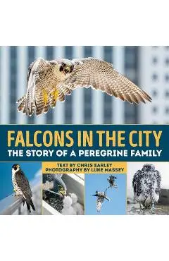 Falcons in the City: The Story of a Peregine Family - Chris Earley