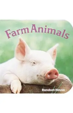 Farm Animals - Phoebe Dunn