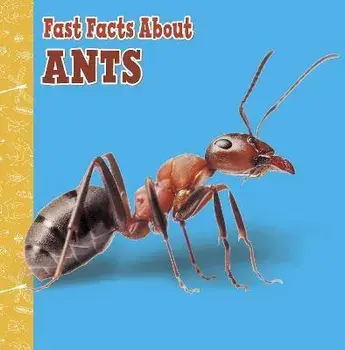 Fast Facts About Ants, Paperback/Lisa J. Amstutz