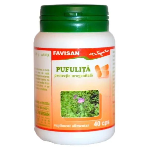 Favisan Pufulita 40 capsule