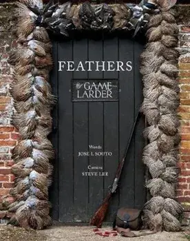 Feathers/Jose Souto