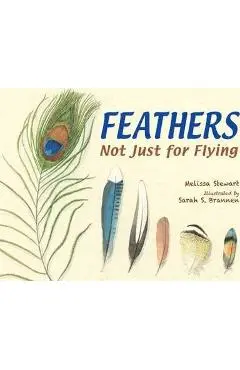 Feathers: Not Just for Flying - Melissa Stewart