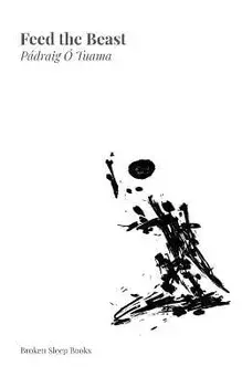 Feed the Beast, Paperback/Pádraig Ó. Tuama