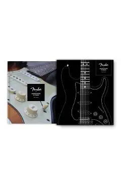 Fender Stratocaster 70 Years - Dave Hunter