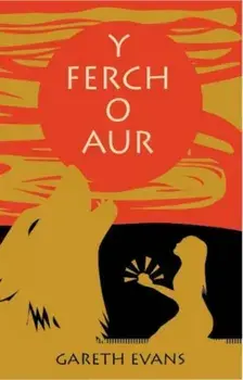 Ferch o Aur, Y, Paperback/Gareth Evans