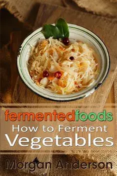 Fermented Foods: How to Ferment Vegetables, Paperback/Morgan Anderson