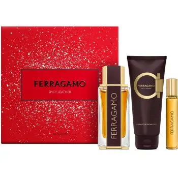 Ferragamo Spicy Leather set cadou pentru bărbați
