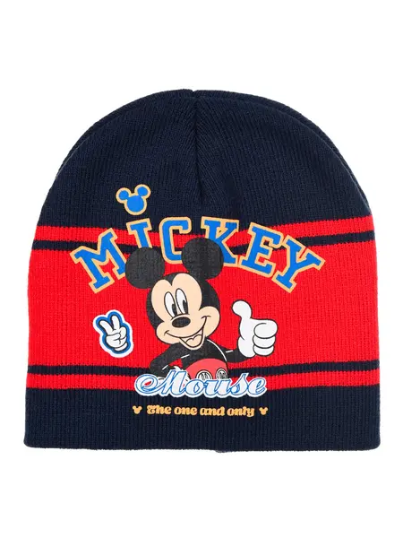 Fes Mickey