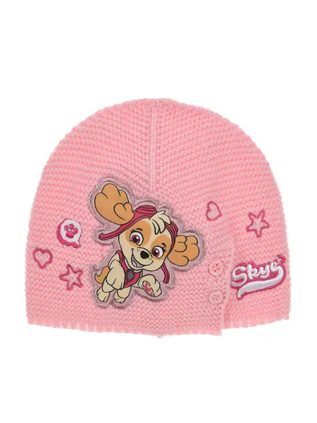 Fes Paw Patrol