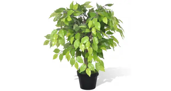 Ficus pitic artificial cu aspect natural si ghiveci, 60 cm