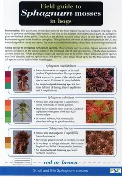 Field Guide to Sphagnum Mosses in Bogs/Ros Tratt