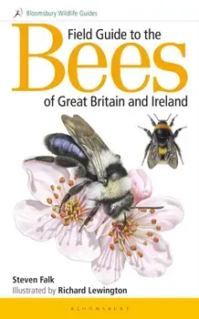 Field Guide to the Bees of Great Britain and Ireland, Paperback/Steven Falk