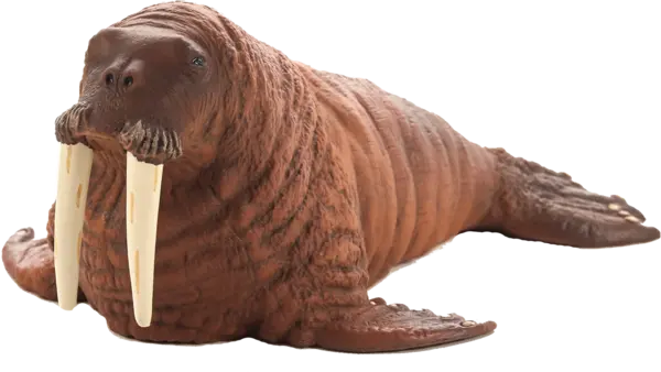 Figurină Mojo Sealife - Morsă