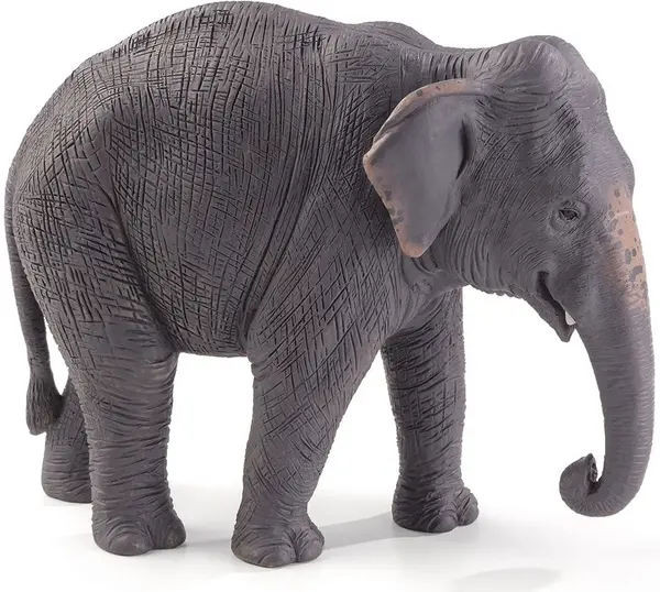 Figurina Mojo Wildlife - Elefantul asiatic