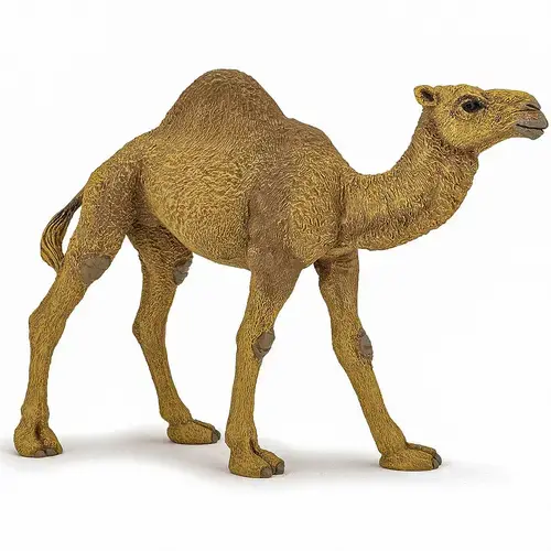 Figurina Papo - Animale salbatice, Dromader