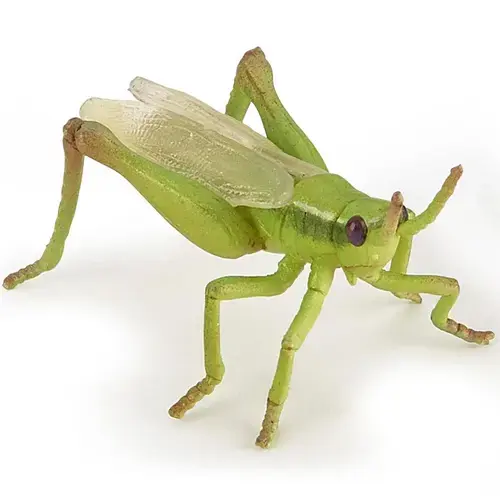 Figurina Papo - Animale salbatice, Lacusta