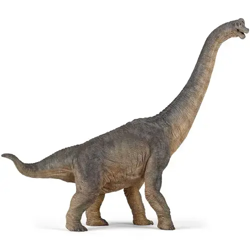 Figurina Papo - Dinozauri, Brachiosaurus